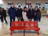 The Red Bench Erasmus 10 - 